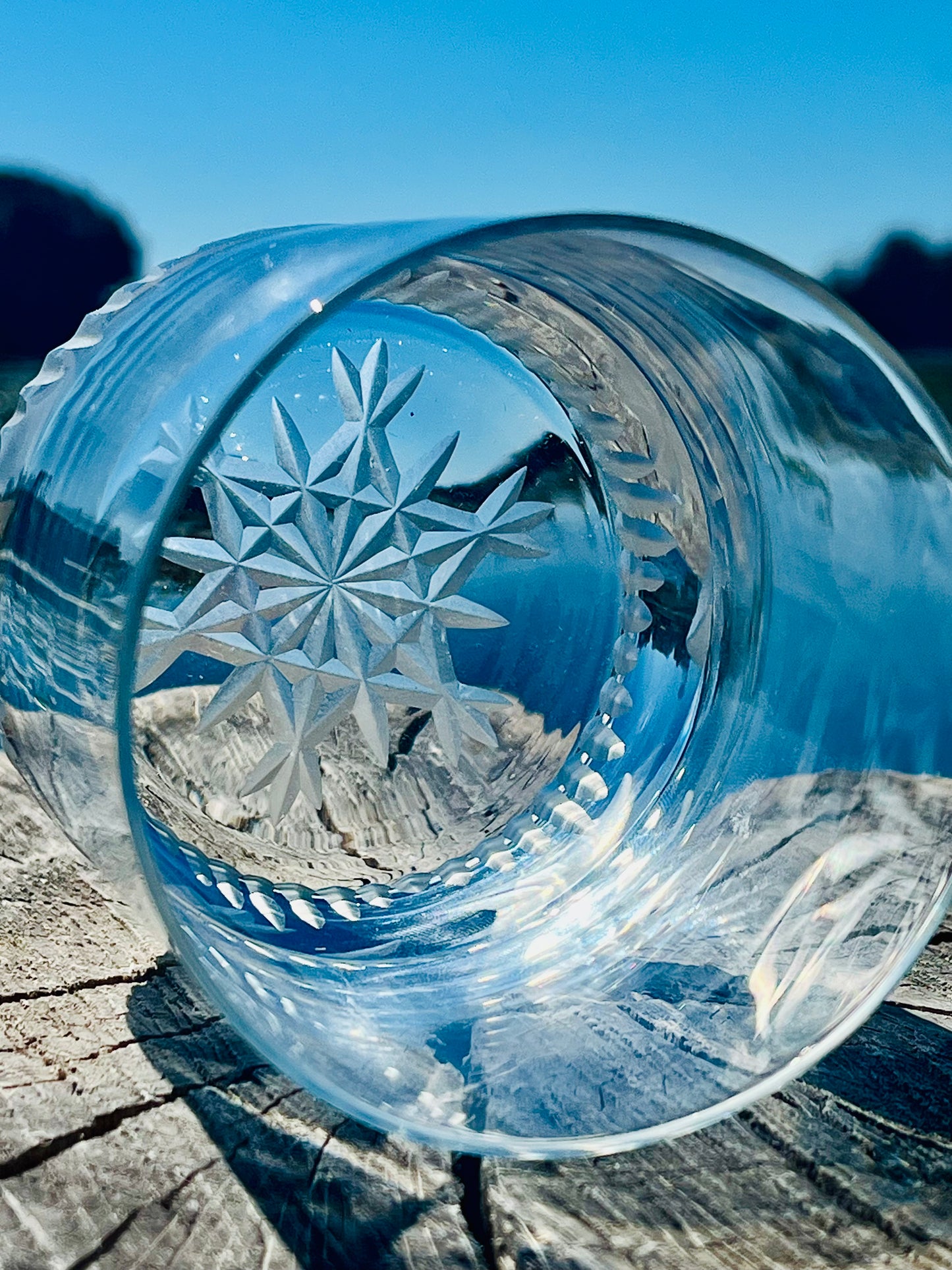 Freeze