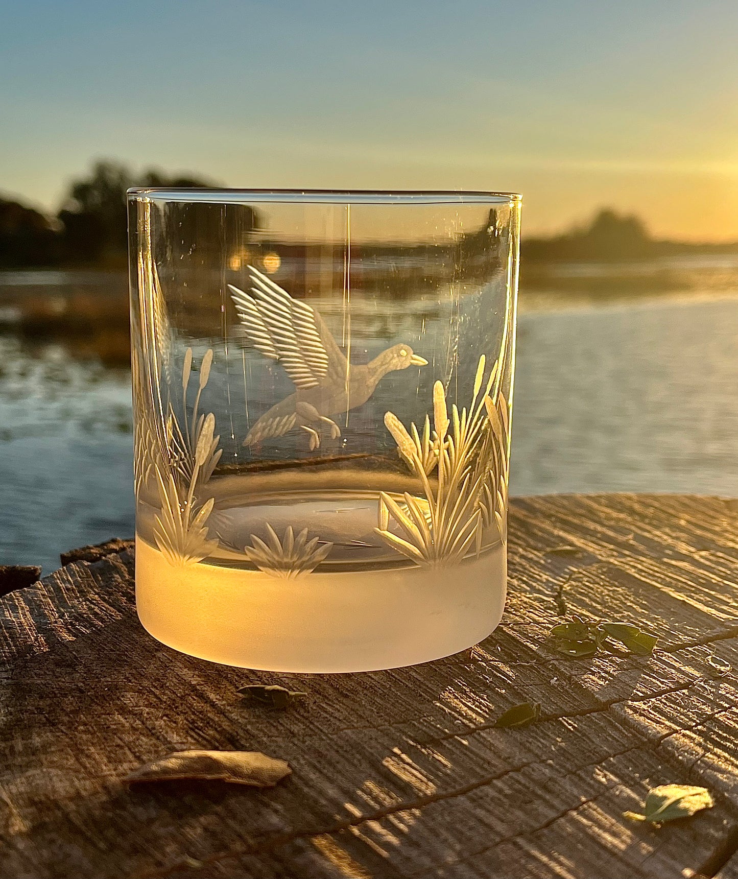 Wetlands